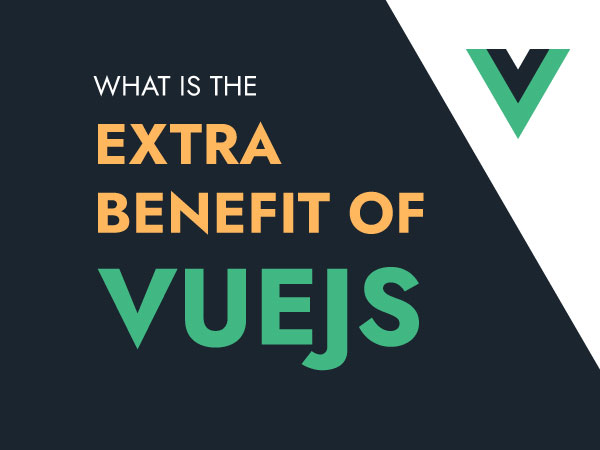 What-is-the-extra-benefit-of-Vuejs